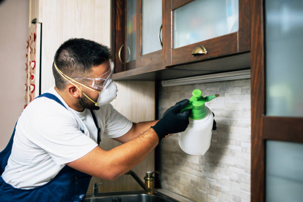 Best Wasp Removal Services  in Bangor, PA