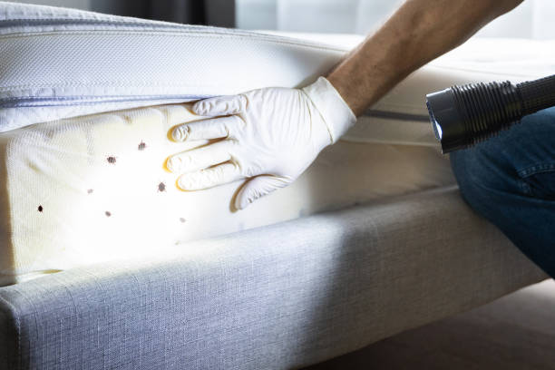 Best Bed Bug Extermination  in Bangor, PA