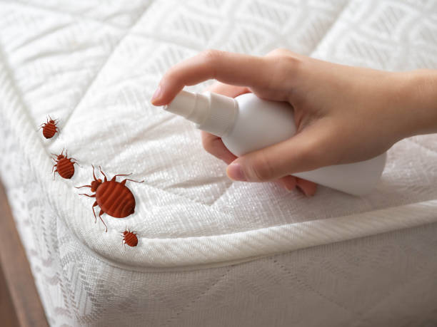 Professional Pest Control in Bangor, PA
